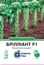 Насіння Брюссельська капуста Брілліант F1 Hazera, 10 шт