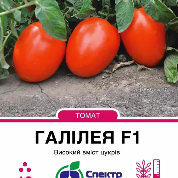 Насіння Томат Галілея F1 Hazera, 10 шт