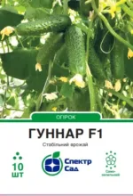 Насіння Огірок Гуннар F1 Enza Zaden, 10 шт