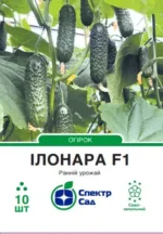 Насіння Огірок Ілонара F1 Rijk Zwaan, 10 шт