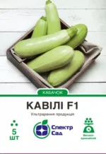 Насіння Кабачок Кавілі F1 Nunhems, 5 шт