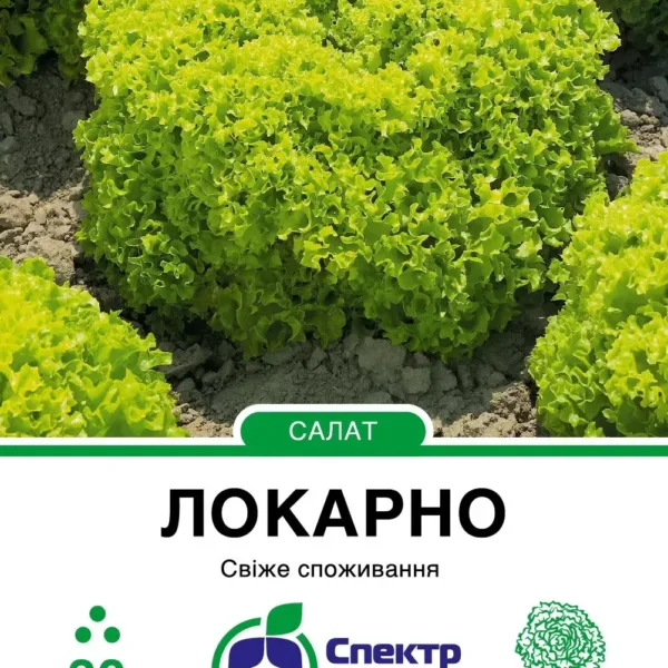 Насіння Салат Локарно, тип Лолло Біондо Rijk Zwaan, 30 шт