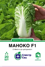Насіння Пекінська капуста Маноко F1 Bejo, 20 шт