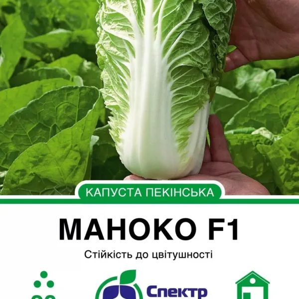 Насіння Пекінська капуста Маноко F1 Bejo, 20 шт