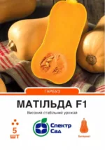Насіння Гарбуз Матільда F1 Enza Zaden, 5 шт