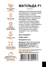 Насіння Гарбуз Матільда F1 Enza Zaden, 5 шт