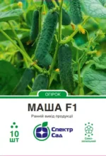 Насіння Огірок Маша F1 Seminis, 10 шт