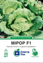 Насіння Білоголова капуста Мірор F1 Syngenta, 20 шт