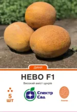 Насіння Диня Нево F1 Hazera, 5 шт