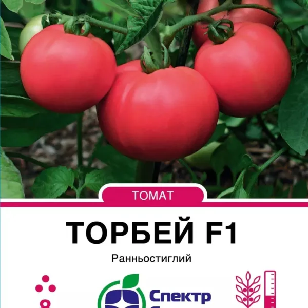 Насіння Томат Торбей F1, 8 шт