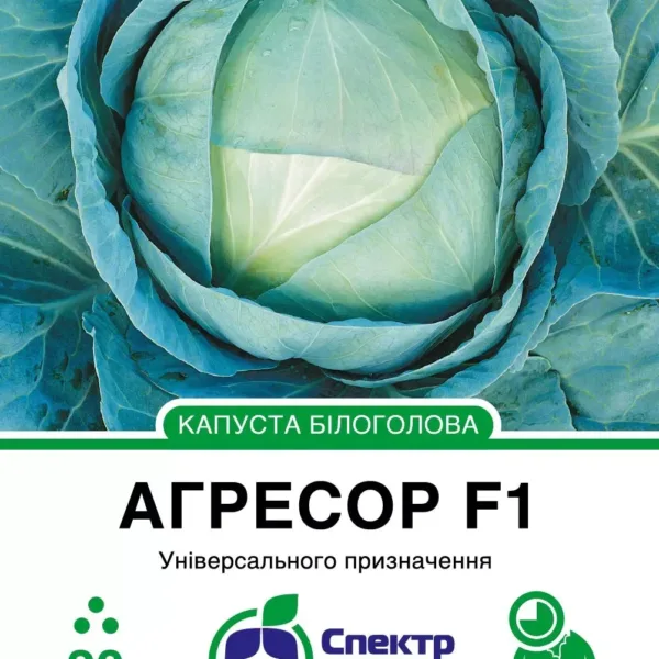 Насіння Білоголова капуста Агресор F1 Syngenta, 20 шт