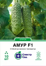 Насіння Огірок Амур F1 Bejo, 10 шт