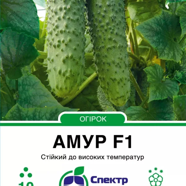 Насіння Огірок Амур F1 Bejo, 10 шт