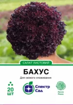 Насіння Салат Бахус, тип Лолло Росса Hazera, 20 шт