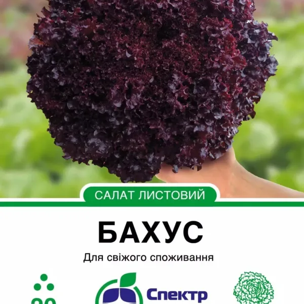 Насіння Салат Бахус, тип Лолло Росса Hazera, 20 шт