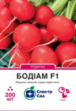 Насіння Редиска Бодіам F1 Rijk Zwaan, 200 шт