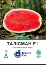 Насіння кавуна Талісман F1 Nunhems,  5 шт