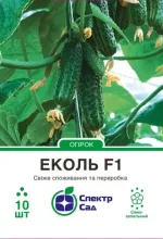 Насіння Огірок корнішон Еколь F1 Syngenta, 10 шт