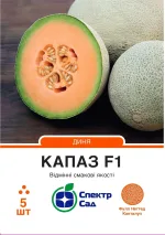 Насіння Диня Капаз F1 Enza Zaden, 5 шт