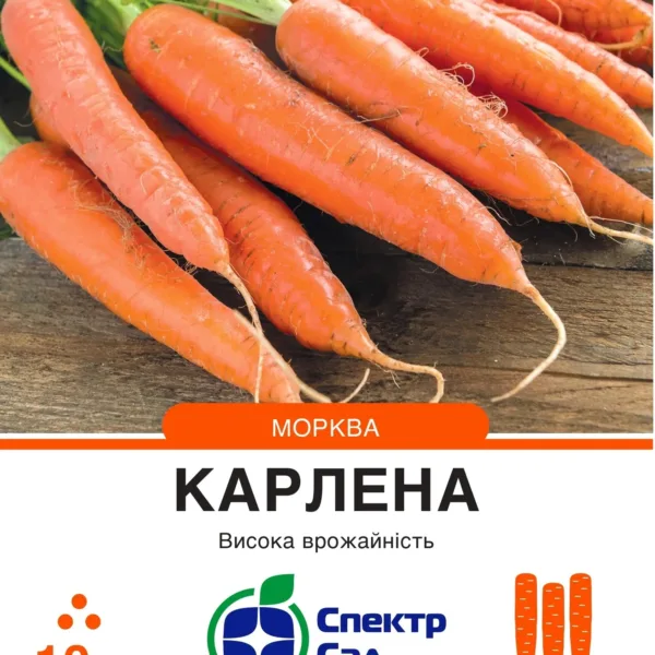 Насіння Морква Карлена Satimex, 10 г