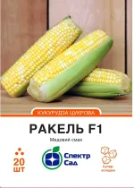 Насіння кукурудзи цукрової Ракель F1 Clause, 20 шт