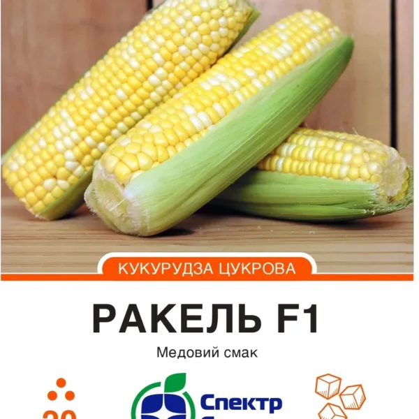 Насіння кукурудзи цукрової Ракель F1 Clause, 20 шт