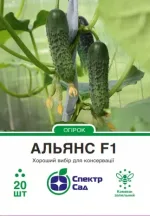 Насіння Огірок корнішон Альянс F1 Bejo, 20 шт