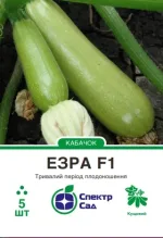 Насіння Кабачок ранній Езра F1 Hazera, 5 шт