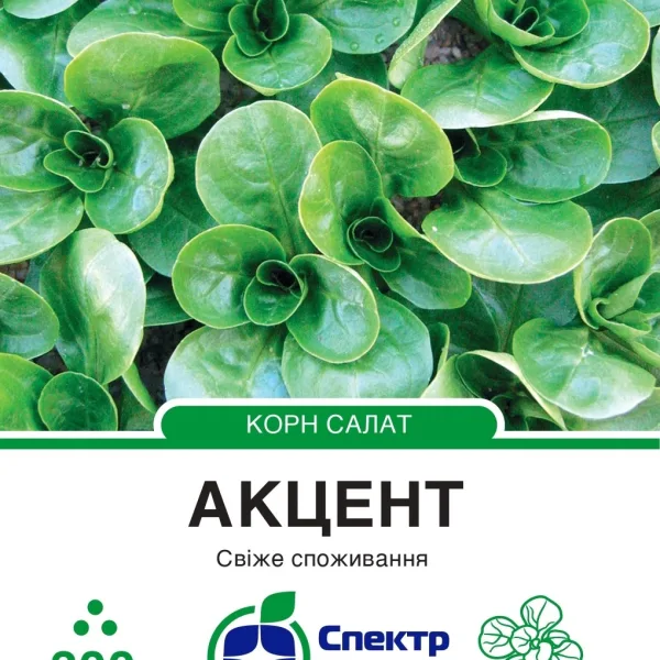 Насіння Корн Салат Акцент Enza Zaden, 300 шт