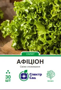 Салат типу Батавія Афіціон Rijk Zwaan, 30 шт