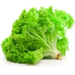 Салат типу Батавія Афіціон Rijk Zwaan, 30 шт