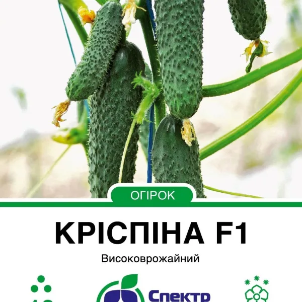 Насіння Огірок Кріспіна F1 Nunhems, 10 шт