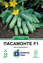 Насіння Огірок Огірок Пасамонте F1 Syngenta, 10 шт
