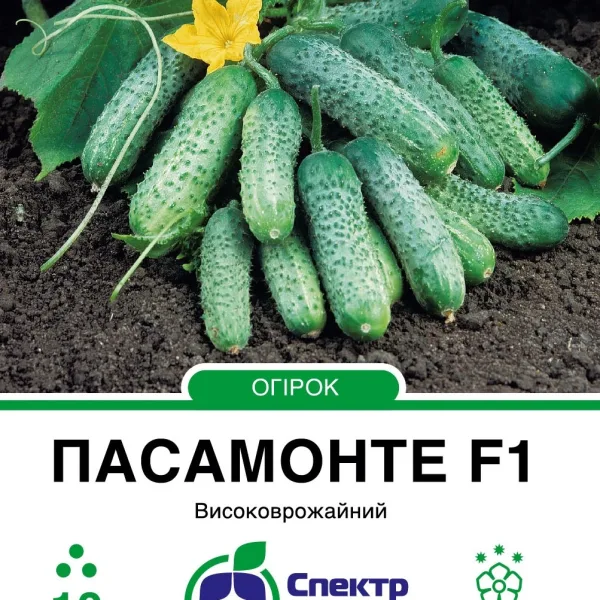 Насіння Огірок Огірок Пасамонте F1 Syngenta, 10 шт