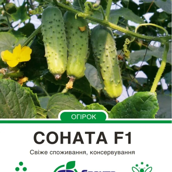 Насіння Огірок Соната F1 Rijk Zwaan, 10 шт