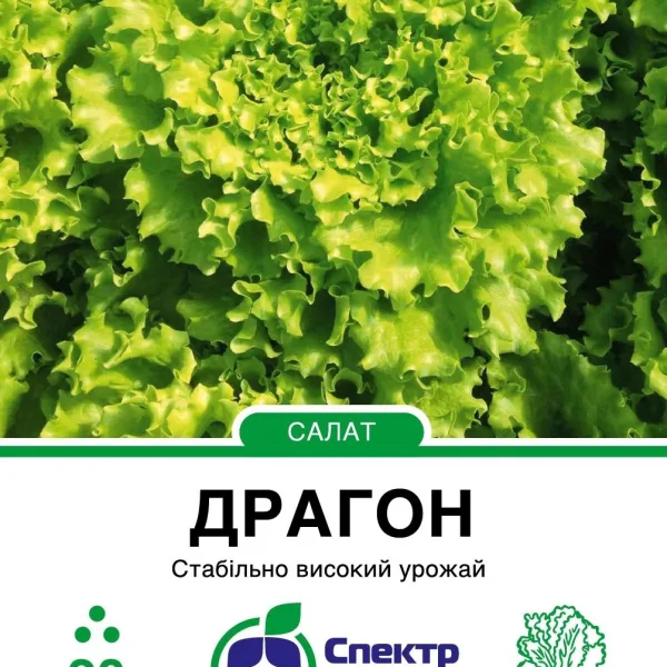 Салат типу Батавія Драгон Hazera, 20 шт