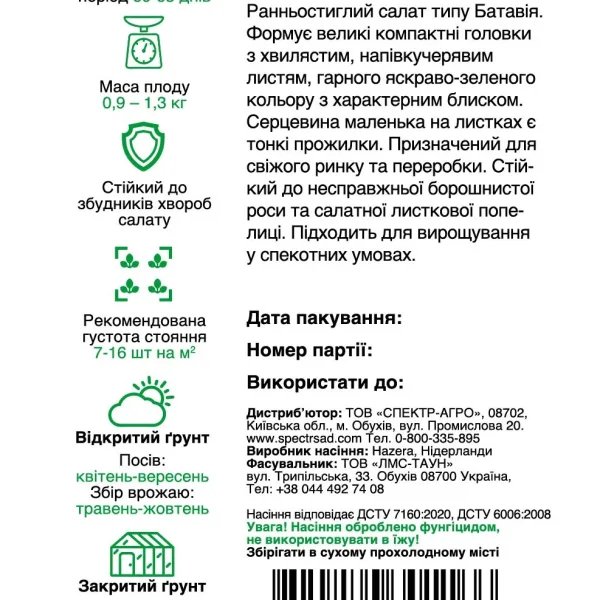 Салат типу Батавія Драгон Hazera, 20 шт
