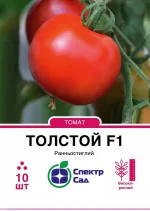 Насіння Томат Толстой F1 Bejo, 10 шт