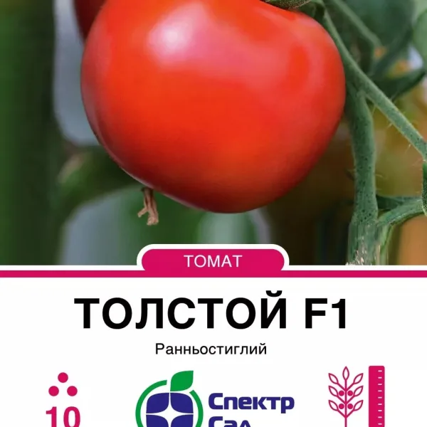 Насіння Томат Толстой F1 Bejo, 10 шт
