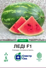 Насіння кавуна Леді F1 Nunhems,  5 шт