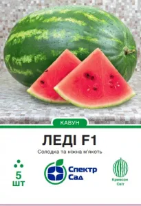 Насіння кавуна Леді F1 Nunhems,  5 шт
