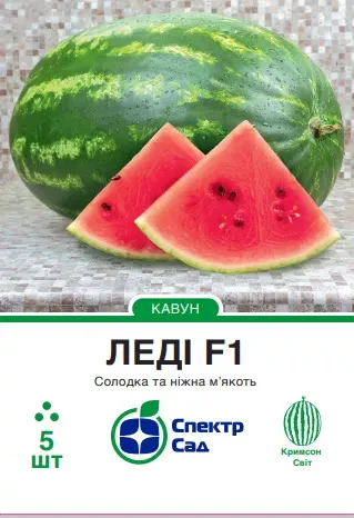 Насіння кавуна Леді F1 Nunhems,  5 шт