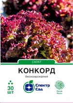 Насіння Салат Конкорд, тип Лолло Россо Rijk Zwaan, 30 шт